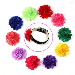 Dog Apparel 50pcs Removable Pet Collar Charms Chiffon Lace Cat Accessories Bowties Fashion Supplies Grrooming Product