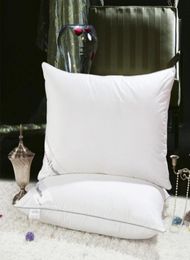 Home Textile Sleeping Pillow 100 goose down light white Pillow Zero Pressure Memory Neck Health 4874cm cotton5300184