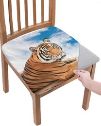 Chair Covers Blue Sky Tiger Lie Prone Elasticity Cover Office Computer Seat Protector Case Home Kitchen Dining Room Slipcovers