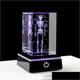 Decorative Objects Figurines Crystal 3D Laser Engraved Human Anatomical Skeleton Cube Model Statue Paperweight Anatomy Mind Neurol Dhapu