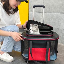 Cat Carriers Pet Carrier Outing Backpack Cats Stroller Bag Universal Wheel Travel Portable Large-capacity Trolley Box