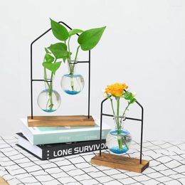 Vases Simple Home Decoration Metal Frame Office Ornaments Plant Container Glass Vase Hydroponic Flower Arrangement