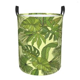 Laundry Bags Foldable Basket For Dirty Clothes Green Leaf Of Palm Illustration Storage Hamper Kids Baby Home Organizer