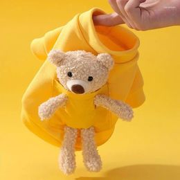 Dog Apparel Autumn And Winter Sweatshirt Spring Cat Cute Bear Pet Clothes Chihuahua Teddy York Clothing