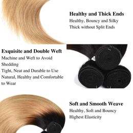 Honey Blonde Bundles Burmese Human Hair Weave Bundle 12-24 Dark Roots 1B 27 Blond 2 Tone Bone Straight Hair Weaving Extensions