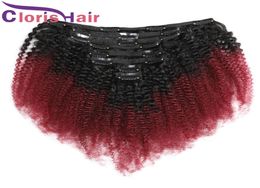 Burgundy Ombre Afro Kinky Curly Clip In Extensions Malaysian Human Hair Weave Coloured 1B 99J Full Head 8pcs/set 120g Clip On Extentions4206440