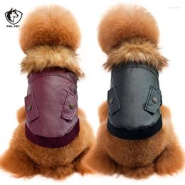 Dog Apparel FML Pet Jacket Autumn Winter Leather Clothes For Small Dogs Cats Warm Fashion Coats Puppy Chihuahua Costume