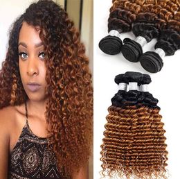 Brazilian Deep Wave Ombre Human Hair Bundles Two Tone Blonde Hair Extension 1B 30 Ombre Deep Curly Weave Virgin Hair 3 Bundles3338362