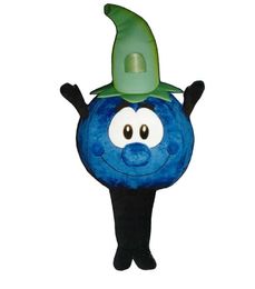 2024 Halloween Adult Cute Blue Berry Fruit Mascot Costume theme fancy dress Advertising Birthday Party Costume Outfit