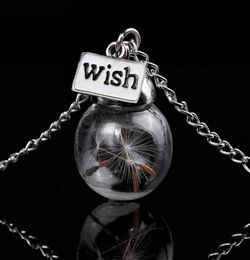 Glass bottle necklace Natural dandelion seed in glass long necklace Make A Wish Glass Bead Orb silver plated Necklace Jewellery G1251285597