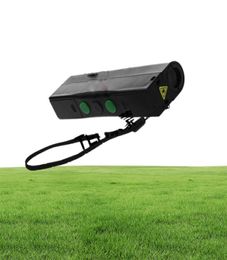 Mini Dual Direction Green Laser Sword For Laser Man Show 532nm 200mW DoubleHeaded Wide Beam Laser5230195
