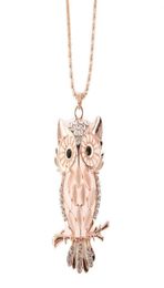 Opal Owl Sweater Chain Necklaces Fashion Trendy Women Statement Charm Animal Design Pendant Necklace Lady Girl Jewellery Accessories2370971