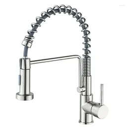 Kitchen Faucets Cold And Mixed Water Multifunctional Spring Pull Copper Faucet Vegetable Basin Sink