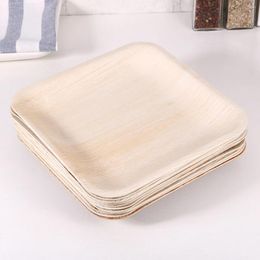 Disposable Dinnerware 10PCS 8 Inches Frond Party Service Tray Dessert Dishes Plates For Birthday Picnic (Square)