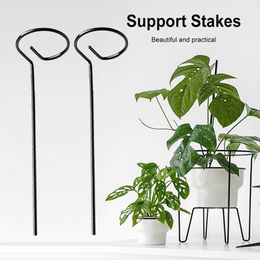 Metal Plant Supports Stake 10pcs Garden Tool Set for Peonies Hydrangea