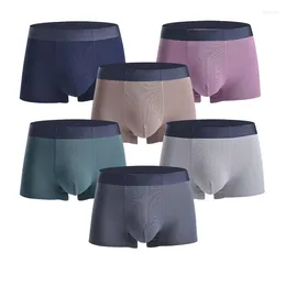 Underpants Luxury Men Boxer Ultra Thin Modal Silk Cotton Boxers Breathable Smooth Vintage Solid Mens Underwear 2pcs/lot