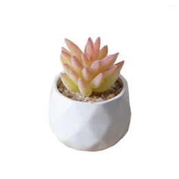 Decorative Flowers Artificial Succulent Simulation Bonsai Fake Flower Potted Table Supplies