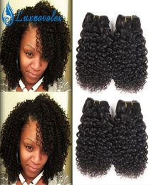 Brazilian Virgin Hair Curly 4 Bundles Short Human Hair Weave Bundles Peruvian Malaysian Indian Hair Extensions 50gBundle Natural 8182814