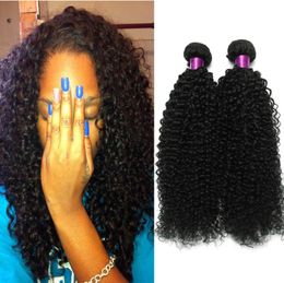 5A 100g brazilian curly virgin hair unprocessed brazilian kinky curly virgin hair extensions brazilian deep curly human hair 4pcs6736986