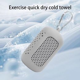 Towel Portable Sport With Mini Silicon Gel Set Cold Polyester Fibre Fitness GYM Running Outdoor Quick Dry Cool