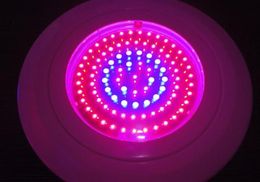 90Watt 90W UFO LED Plant Grow Light Red and blue and orange 7116631905