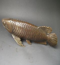 Collection Lifelike Chinese old bronze arowana statue 28x8 CM9449780