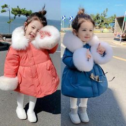 Down Coat Girls' Cotton-padded Jackets Long Sleeve Detachable Fur Collar Baby Girl Clothes Winter For Faux Padded Coats