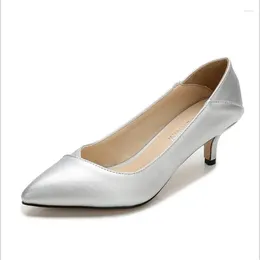 Dress Shoes Women High Heels Classic Fashion Pumps Office Pointed Toe Thin Heel Lady Elegant Work