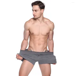 Underpants Cotton Men's Underwear Gentle Flexible Super-elastic Boxer Soft Ultra-thin Breathable Solid Cutting Grid-patterned