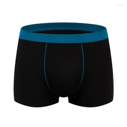 Underpants Sexy Seamless Men Underwear Plus Size Thin Convex Pouch Funny Summer Breathable Boxer Gay Boxers Quick Dry