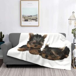 Blankets Two Puppies. Cute Terrier Yorkshire Cartoon Blanket Fleece All Season Breathable Super Warm Throw For Office Bedspread