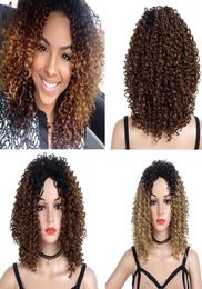 Synthetic Wigs for Women Lace Front Black Curly Wig Short African American Afro Kinky Curly Hair Wigs Heat Resistant Fibre curly F7980219