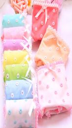 6PCS Young Girl039s underwear candy Student Briefs Ladies Girl Panties Children Cotton Briefs For 920T2084646