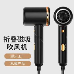 Electric Hair Dryer Hammer hair dryer salon home folding American standard negative ion high-power H240412