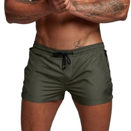 Men's Shorts Gym Holiday Mens Polyester Regular Running Short Pants Brand Training Casual Workout Fitness
