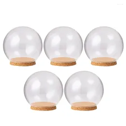 Decorative Flowers 5 Pcs Glass Cover Memento Creative Decor Christmas Ornaments Eternal Flower Micro Landscape Dome Souvenir Cork