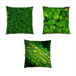 Pillow Living Room Decoration Velvet Flower Throw Covers Tree Cover 45x45 Landscape Natural Personalized Flocking E1355