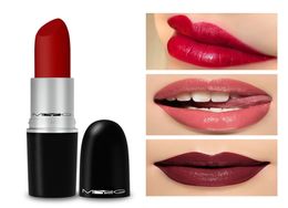 Whole Waterproof Lipsticks Brand MYG Lip Stick Makeup Cosmetic Long Lasting Matte Lipstick Women Beauty Tools Brown Nude Choco4099917