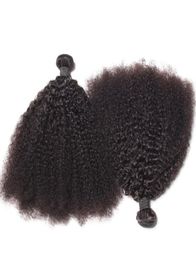 Brazilian Afro Kinky Curly Human Hair Bundles Unprocessed Remy Hair Weaves Double Wefts 100gBundle 2bundlelot Hair Extensions2955242