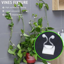 Decorative Plates Wall Rattan Clamp Clip Invisible Vine Climbing Sticky Hook Fixed Bracket Household Decor Plant Garden Supports