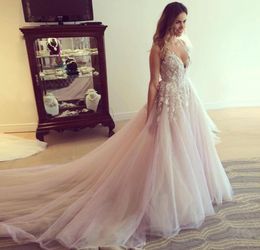 Fashion Blush Pink Wedding Dresses Sexy Plunging Neckline Appliques Zipper Backelss Bridal Dress Charming Organza Chapel Train Wed4312854