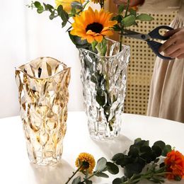 Vases Glass Vase Decoration Living Room Insertion Light Luxury Hydroponic Advanced Feeling Ins Style