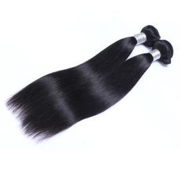 Brazilian Virgin Human Hair Straight Unprocessed Remy Hair Weaves Double Wefts 100gBundle 2bundlelot Can be Dyed Bleached2992157