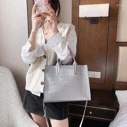 Bag Stone Pattern Bags For Women 2024 Female Black Handbags Shoulder Ladies Winter Leather Crossbody Totes Purses