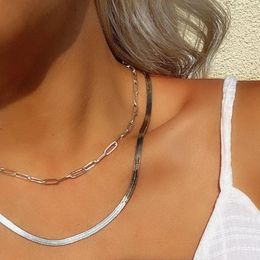 Pendant Necklaces Silver Colour Multi-layer Necklace For Women Jewellery Layered Sets Fashion Double Sanke And Paperclip Chian