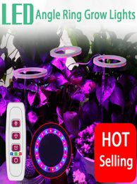 FullSpectrum LED Grow Lights USB5v Lead Round Angel Ring Succulent Fill Lamp Dimmable Indoor Lighting AntiSplendid Coloring Gre5698477