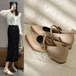 Casual Shoes Pointed Toe High Heels Women Chunky Dress Party 2024 Spring Summer Sandals Designer Brand Pumps Female Plus Size