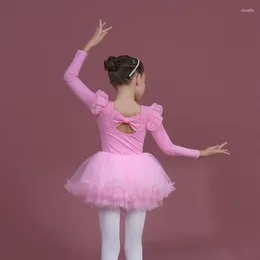 Stage Wear Girls Ballet Dance Leotards Tutu Skirts 2pcs Autumn Birthday Party Christmas Princess Clothing Professional Performance