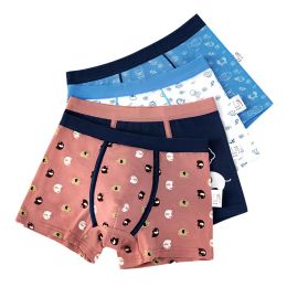 Shorts Fashion 4Pcs 215 Years Boys Underwear Cartoon Dinosaur Boxers Shorts for Big Kids Children's Comfortable Striped Panties 2024