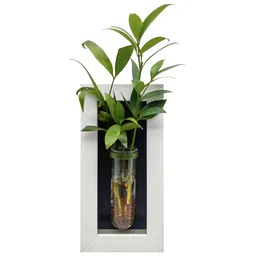 Vases 10 20cm White Frame Test Tube Planter Propagation Station Plant Vase Wall Decoration